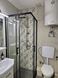 a bathroom with a shower and a toilet and a sink at River stone studio in Prizren