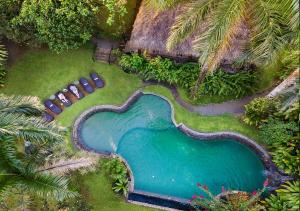 an overhead view of a swimming pool in a yard at Aranwa Sarapiquí Rainforest Lodge in Sarapiquí