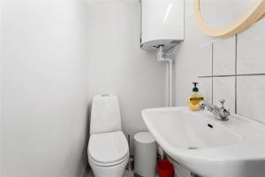 a white bathroom with a toilet and a sink at FY270-Faaborg-Lille-Stege-7 in Faaborg +15 photos