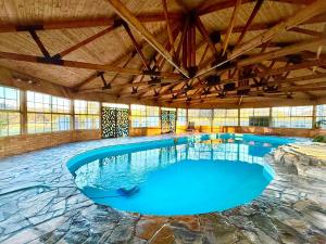 a large swimming pool with blue water in a building at Marrangaroo Meadows in Marrangaroo