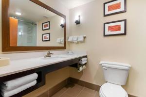 a bathroom with a sink and a toilet and a mirror at Comfort Inn & Suites Macon West in Macon