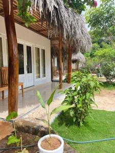 a plant in a pot in front of a house at Sunset Rote Bungalows in Nembrala
