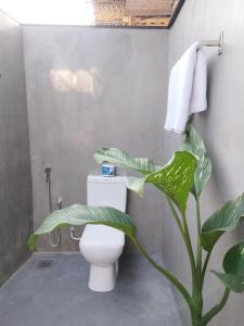 a bathroom with a toilet and a large plant at Villa Carlos Tangalle in Tangalle