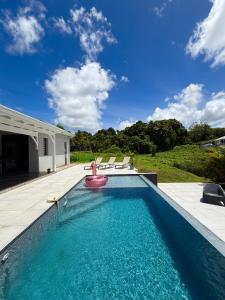 a swimming pool with a water toy in the middle at La Villa Serenity Pool in Le Lamentin