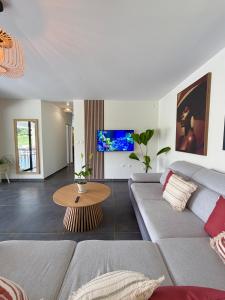 a living room with a couch and a tv at La Villa Serenity Pool in Le Lamentin