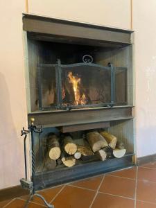 a fireplace with logs in it with a fire at Mountain Farmhouse Between Parma And Cinque Terre in Solignano +25 photos