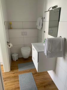 a bathroom with a toilet and a sink and a mirror at Apartment in der Eifel in Blankenheim