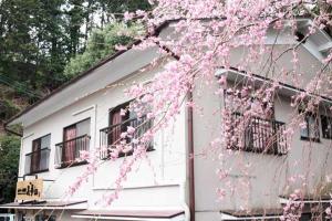 a tree with pink flowers in front of a building at ゲストハウスkaminn in Yoshino