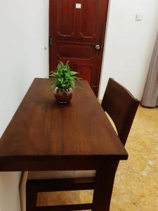 a wooden table with a potted plant on top of it at Villa AyuSri in Ambalangoda