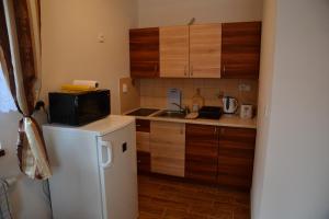Kuchyňa alebo kuchynka v ubytovaní Apartmány Nad řekou