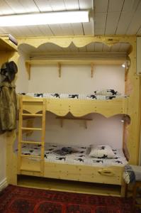 Palanda nebo palandy na pokoji v ubytování Kloten City