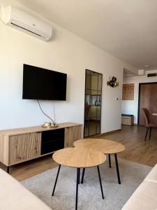 ein Wohnzimmer mit einem Flachbildfernseher an der Wand in der Unterkunft Wine story in Irig