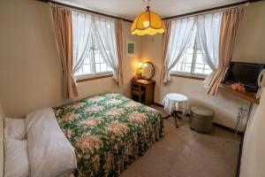 a bedroom with a bed and a tv and windows at ray of hakuba 白馬の輝き in Hakuba