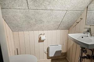 a bathroom with a toilet and a sink at 10019-Ulfborg-Gaffelbjergvej-18 in Ulfborg +16 photos
