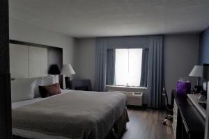a hotel room with a bed and a window at Wyndham Garden Hotel - Jacksonville in Jacksonville