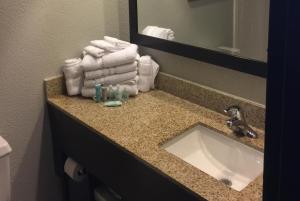 a bathroom counter with a sink and towels at Wyndham Garden Hotel - Jacksonville in Jacksonville