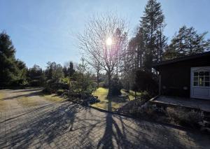 a house with the sun shining behind a tree at Ferienhaus Herzkate in Bremervörde +5 photos
