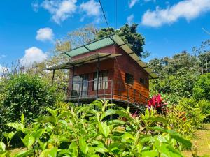 a tree house in the middle of a field at La cabaña del Colibrí in Bijagua