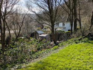 a garden with trees and a house in the background at White Pebbles Appartment in Ilfracombe