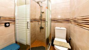 a bathroom with a toilet and a glass shower at Villa Andrianna in Frés +24 photos