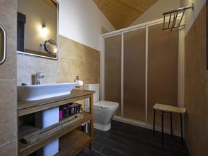 un baño con lavabo e inodoro en Apartamentos La Rocanda, en Coca 23 fotos más