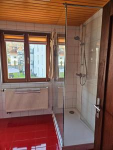 a bathroom with a shower with a glass door at Morgensonne in Lahr