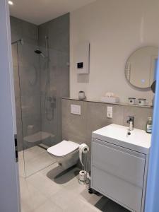 a bathroom with a shower and a toilet and a sink at Ferienwohnung Löwenrevier in Winningen