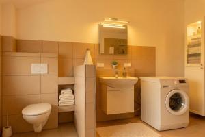 a bathroom with a toilet sink and a washing machine at Ferienwohnung Elena in Tettnang +3 photos