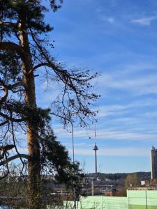 a view of the tv tower from the park at A&A Apartment Vilnius 2 in Vilnius +2 photos