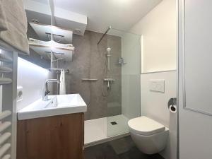 a bathroom with a toilet sink and a shower at Prins Prachtig Amelander Kaap 97 in Hollum
