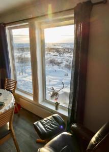 a room with a window with a view of a moose outside at Suovka reindeer & bird lodge in Varangerbotn +5 photos