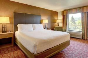 a hotel room with a large bed and a window at The Lodge at Roseburg in Roseburg