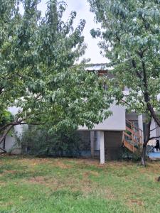 a house with two trees in front of it at Complejo FE LE SA in Las Grutas +7 photos