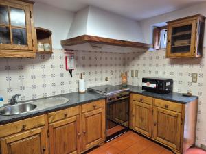 a kitchen with wooden cabinets and a sink and a microwave at Casinha do Pátio in Nogueira do Cravo