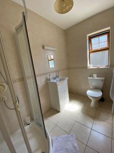a bathroom with a shower and a toilet and a sink at Hill Farm in Dunmore +10 photos