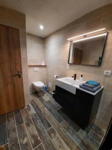 a bathroom with a sink and a toilet and a mirror at La Grange de Lilou in Aiffres +6 photos