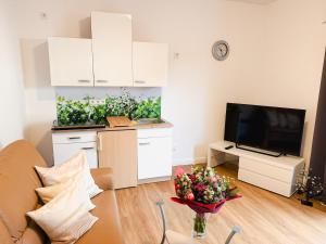 a living room with a table and a tv at Ferienwohnung RuheOase in Steinheim