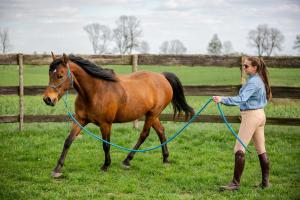 a young girl is leading a brown horse with a rope at Szczęśliwe Siedlisko in Rumy