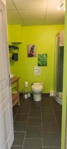 a bathroom with a toilet and a green wall at Les Chambres du Relais in Liettres +20 photos