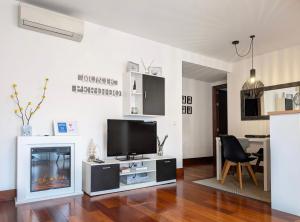 a living room with a tv and a fireplace at Apartamento Monte Perdido in Boltaña