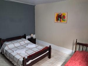 a bedroom with a bed and a painting on the wall at Básico e funcional, com 2 ambientes, sem fogão, com garagem, zona nobre in Pelotas