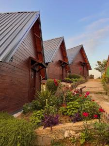 a row of houses with flowers in front of them at Defne Bungalow Yomra in Yomra