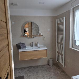 a bathroom with a sink and a mirror at Ubytování Chadimovi in Šluknov