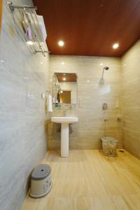 a bathroom with a sink and a mirror and a shower at Jawai Himalayan Cottage in Vashisht