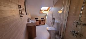 a bathroom with a toilet and a sink and a shower at APARTAMENTOS TURISTICOS TURISToledo in Toledo +66 photos