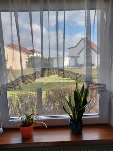 a window with two potted plants on a window sill at But in Pasłęk