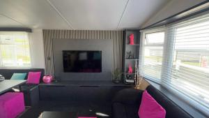 a living room with pink furniture and a tv at 107 Arran View with WiFi in Ayr