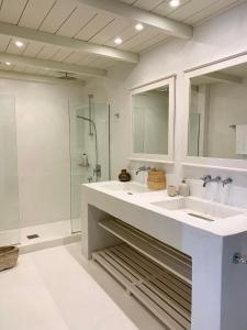 a bathroom with a large sink and a shower at Irini's Bayside Loft in Fiskardo +23 photos