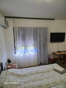 a bedroom with a bed and a desk and a television at Sobe IVANA in Gornja Toplica