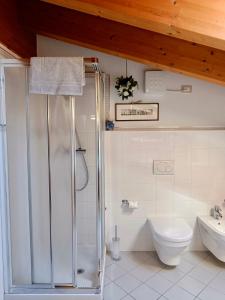 a bathroom with a shower and a toilet and a sink at Camera Lucy in Bardolino